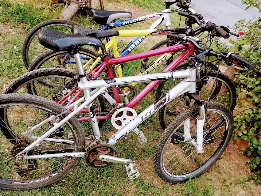 Alquiler bicicletas: Tato