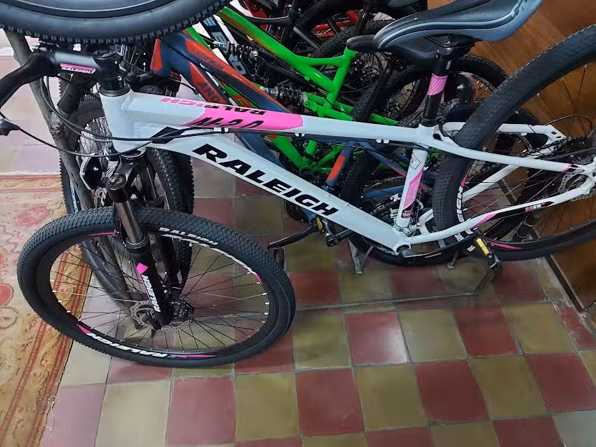 Bicicletas El Rayo