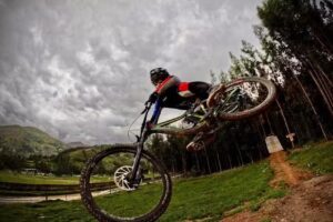 Bicicletería «Alberto»