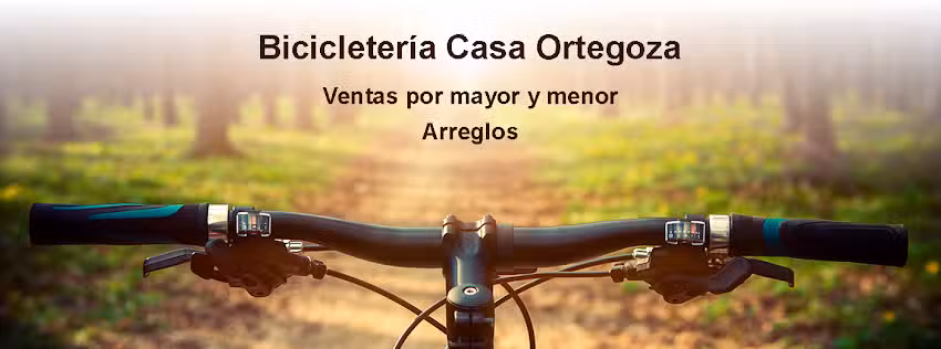 Bicicleteria Hunter Bike