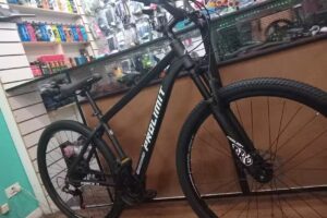 Bicicleteria Santamarina