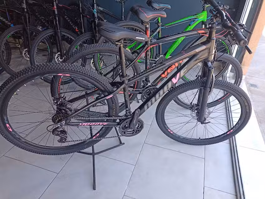 BriBike