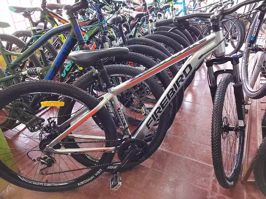 Cycles Ramon2