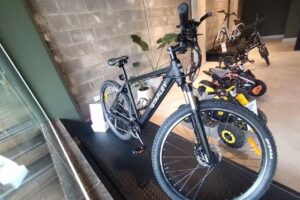 Ecogo Vehículos Eléctricos