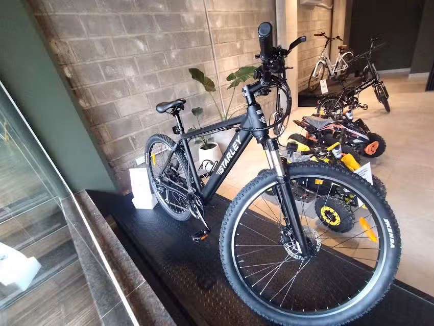 Ecogo Vehículos Eléctricos