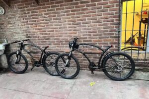 Frank Bicicletas Eléctrica