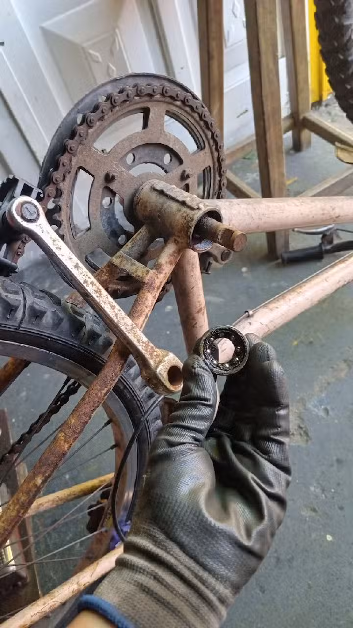 Gomería Tadeo Xeneize